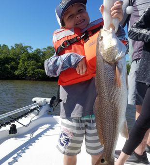 Kid enjoyed his Redfish - Goodland, FL